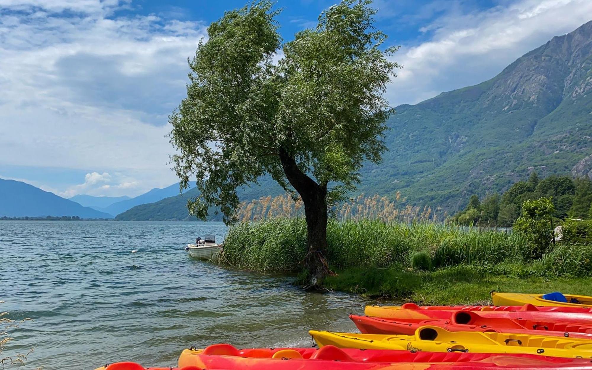 Dascio Emotion Ferienwohnung Mit Terrasse Am See Luaran gambar